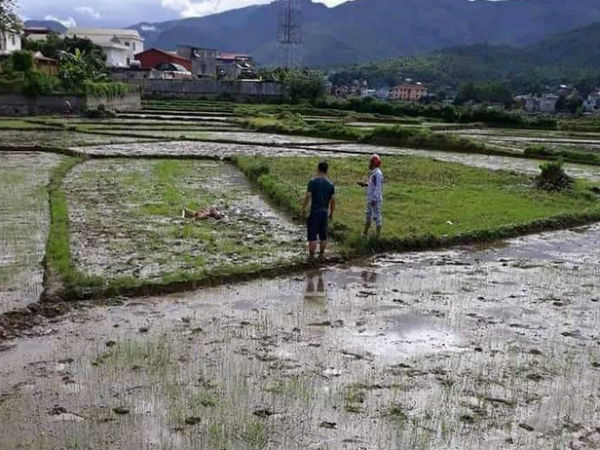 Thảm án kinh hoàng 3 người chết ở Điện Biên: Có dấu hiệu đòi nợ thuê