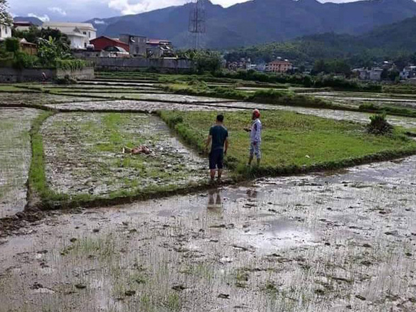 Nguyên nhân thảm án kinh hoàng khiến 2 vợ chồng và 1 người đàn ông tử vong ở Điện Biên