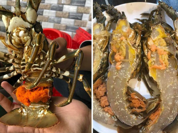Tôm hùm trứng giá rẻ 'sập sàn'