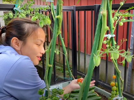 Vừa bị người xem phàn nàn về các thay đổi lạ trong vlog, Quỳnh Trần JP lập tức có động thái hồi đáp khiến dân tình bất ngờ