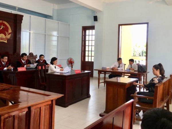 Hoãn phúc thẩm vụ ca sĩ Nhật Kim Anh giành quyền nuôi con