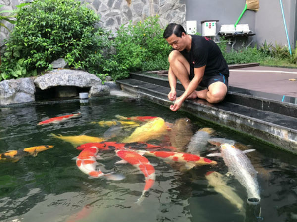 Đại gia kín tiếng Sài thành sở hữu đàn cá Koi 'vạm vỡ, độc nhất vô nhị', có con giá nửa tỷ