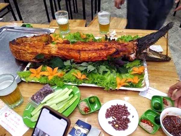 Cá sấu nguyên con rẻ như rau, nướng ăn liền ngày bán 2 tạ