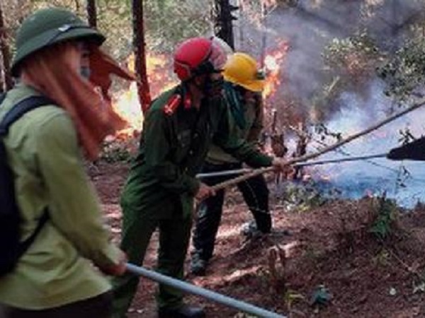 Nghi có yếu tố phá hoại khiến cháy rừng liên tiếp ở Nghệ An, triệu tập một số đối tượng