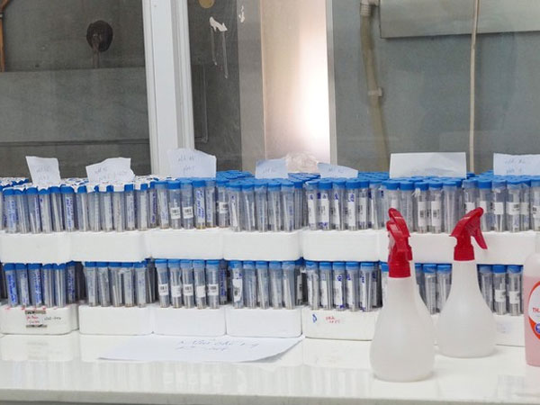 TPHCM phát hiện một người nước ngoài dương tính nhẹ với Covid-19