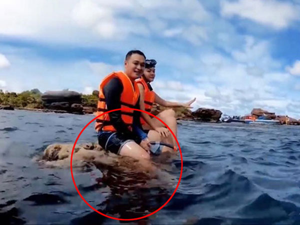 Quang Vinh và Phạm Quỳnh Anh bất ngờ bị lên án vì hành động phá hoại tài nguyên thiên nhiên biển