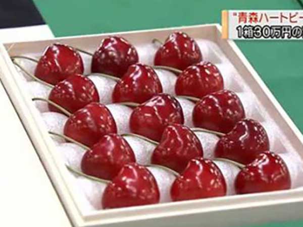 Cherry Nhật đắt kỷ lục, về Việt Nam giá 6,6 triệu đồng/kg