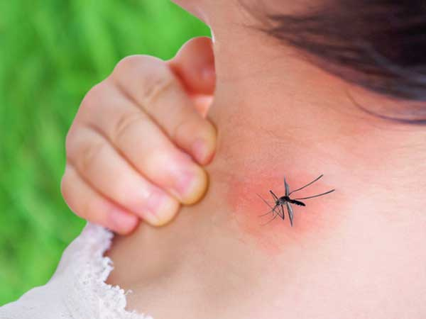 Ca sốt xuất huyết tại Hà Nội tăng mạnh: Bộ Y tế đưa ra những khuyến cáo phòng ngừa bệnh ở ngay tại nhà