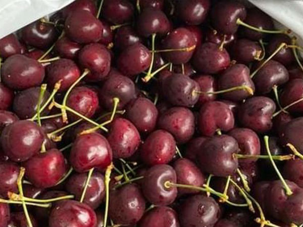 Cherry Mỹ không còn rẻ, chị em rủ nhau 'mua chung'