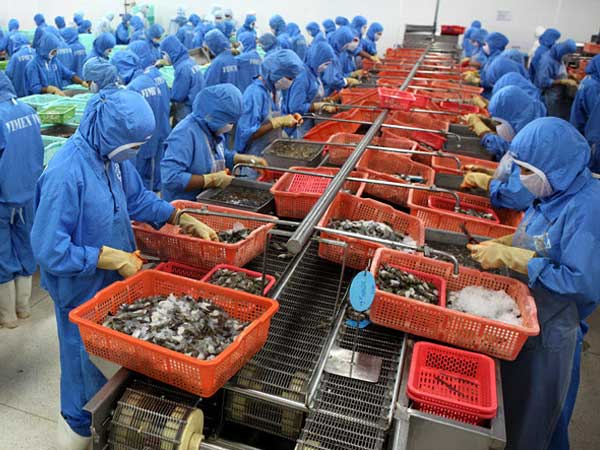 Chuyển container tôm Sài Gòn ra Hà Nội đắt gấp đôi sang Mỹ
