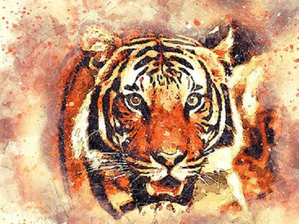 Tử vi thứ 7 ngày 11/7/2020 của 12 con giáp: Dần vợ chồng dễ cãi vã, Thìn cẩn thận kẻ tiểu nhân