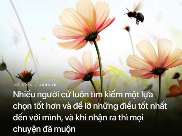 Nhậu say tới bến, hôm sau chồng sững sờ trước phản ứng chưa từng có của vợ
