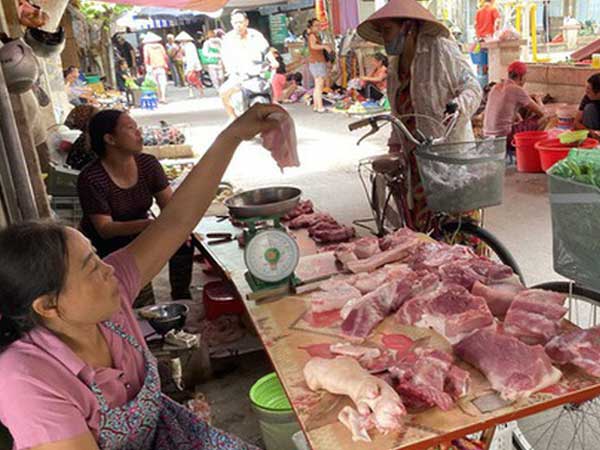 9.000 con lợn sống Thái Lan về Việt Nam bán ở đâu?