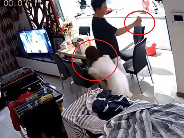 Đưa bồ về nhà còn dám 'to gan' gọi facetime để chứng minh trong sạch, người chồng 'chết đứng' khi biết sự thật vợ ẩn giấu