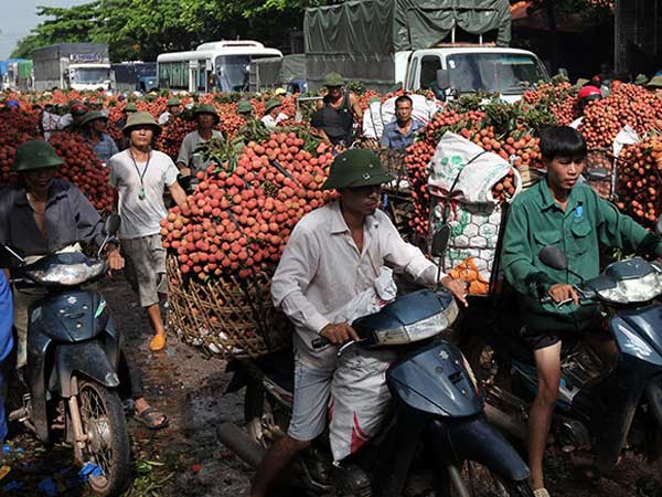 Một vụ thu 7.000 tỷ, ôm tiền gửi ngân hàng, mua đất, tậu ô tô