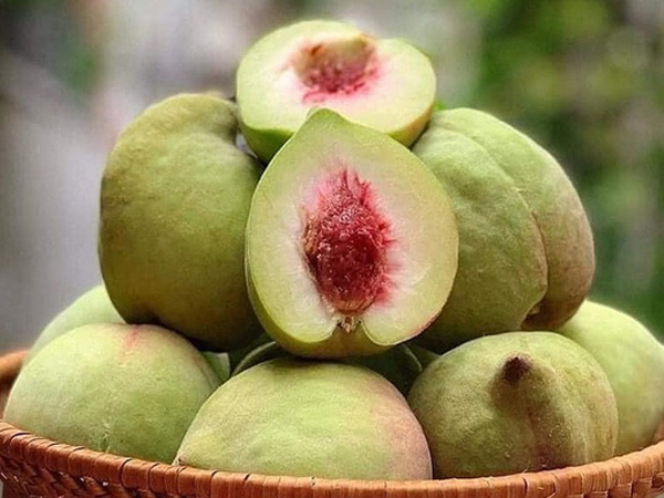 Ăn đào khi mang thai không hại như bạn nghĩ, đây mới là người được khuyến cáo cần tránh ăn kể cả khi đào vào vụ