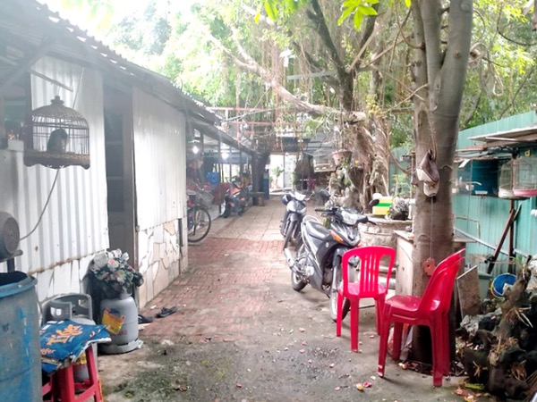 4 căn cứ xét xử lại vụ 'định nhảy lầu vì thua kiện'