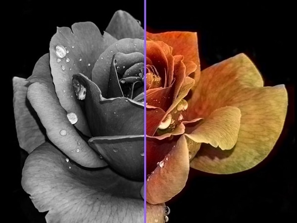 Cách biến ảnh đen trắng thành ảnh màu không cần Photoshop