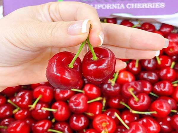 Từ đắt đỏ xuống bình dân, cherry Mỹ hàng Vip đang giảm giá 'sập sàn' còn 299.000 đồng/kg