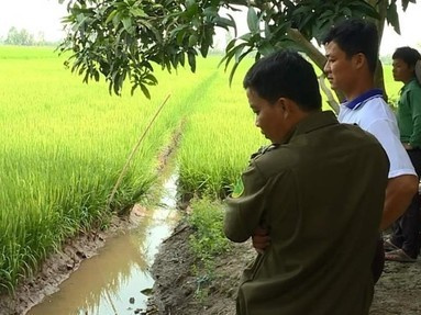Dùng điện bẫy chuột, 2 người tử vong dưới ruộng lúa