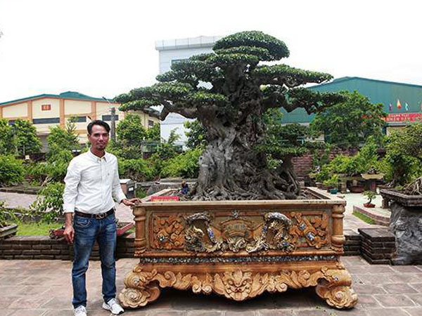 Anh bán hàng rong kiếm 20 nghìn mỗi ngày thành đại gia chi 16 tỷ mua cây cảnh 'khủng'