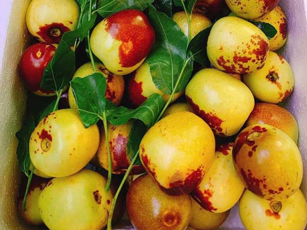 Đắt gấp 5 lần hàng Mỹ, loại quả Trung Quốc được ráo riết lùng mua
