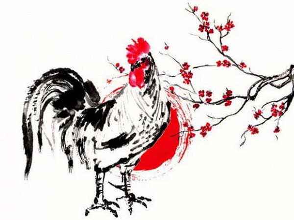 Ảnh bìa bài viết 693536
