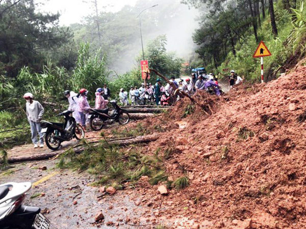 Đà Lạt mưa lớn tạo hố tử thần, thông cổ thụ bật gốc và 30 du khách di dời khẩn cấp