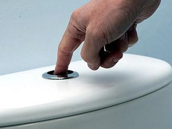 Nếu bạn vẫn có thói quen xả nước bồn cầu bằng một đầu ngón tay thì hãy dừng ngay lại