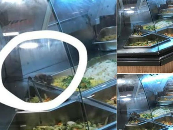 Kinh hãi hình ảnh 2 chú chuột vô tư 'đánh chén' trong quầy thức ăn bán sẵn tại trung tâm thương mại nổi tiếng ở Sài Gòn