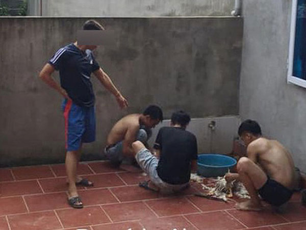 Bố vợ gọi sang làm thịt vịt, rể quý chống tay đứng chỉ đạo, lúc về còn đăng 'tút' xếch mé 'đến ăn cho là may, thanh niên giờ ai biết thịt vịt'