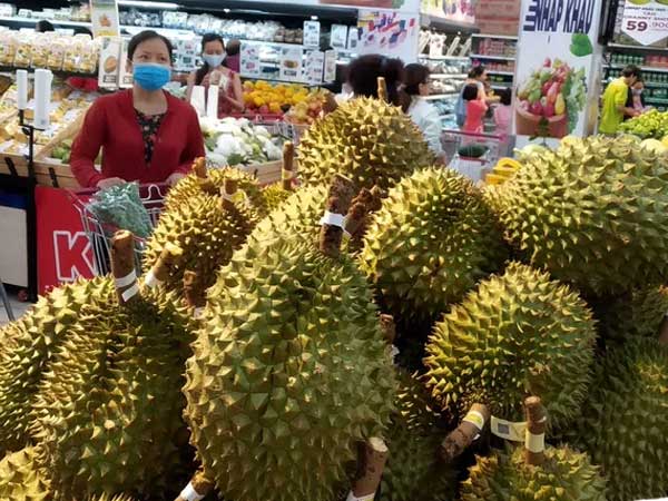 Sầu riêng Malaysia giá tiền triệu vẫn cháy hàng giữa lúc sầu riêng Việt rẻ rề