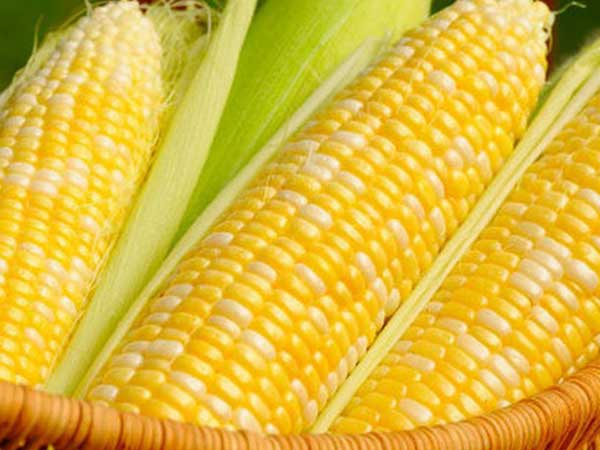 Năm thực phẩm vàng cho dạ dày, ngừa ung thư hiệu quả