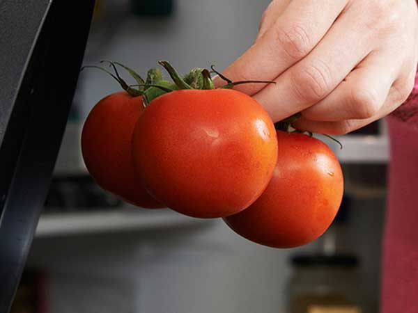 Nhìn vào củ khoai tây, cà chua, hành tây mà thấy có dấu hiệu này thì nên cho vào thùng rác vì ăn sẽ không có dinh dưỡng mà còn dễ bị ngộ độc