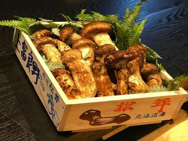 Nấm Tùng Nhung 20 triệu đồng/kg, nhà giàu đợi ‘đỏ mắt’ mới được thưởng thức