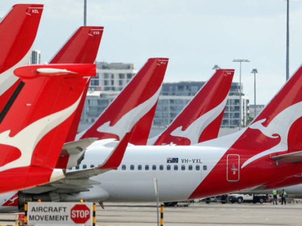 Kinh doanh quá khó khăn, Qantas Airways đăng bán bánh quy, trà và đồ ngủ