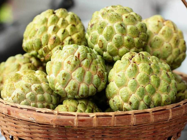 Đây là 3 nhóm người dù có thèm đến mấy cũng nên kiêng ăn na, khi ăn cần lưu ý tránh 5 điều này