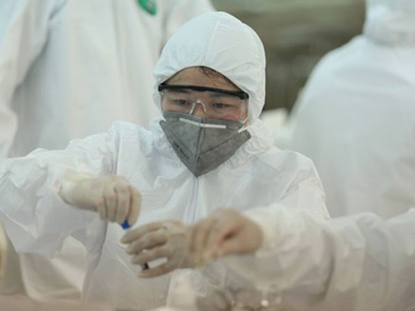 Chùm ca bệnh ở Hải Dương rất đáng lo ngại, Bộ Y tế đang khẩn trương giải mã gen virus gây bệnh