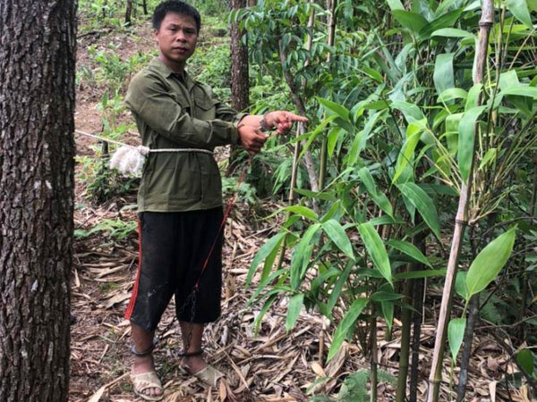 Vụ vợ câu kết với tình nhân giết chồng: Người vợ trốn vào rừng 'mây mưa' với người tình