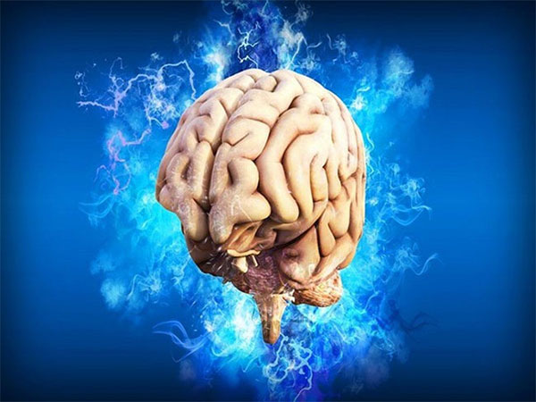 Tại sao ký ức gắn liền với cảm xúc lại mạnh đến vậy?