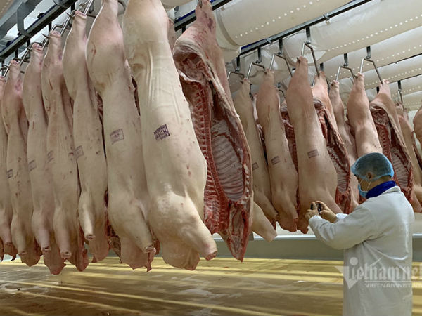 Giá thịt lợn giảm mạnh, bán 'không lấy lãi' lo đẩy hàng sớm