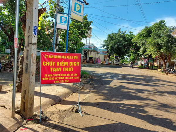 Vừa hết cách ly COVID, Buôn Ma Thuột lại công bố dịch cúm H5N6