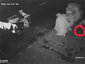 Video: Pha trộm chậu rau cồng kềnh của 2 người phụ nữ, chủ nhà mất của, check camera mà không nhịn được cười