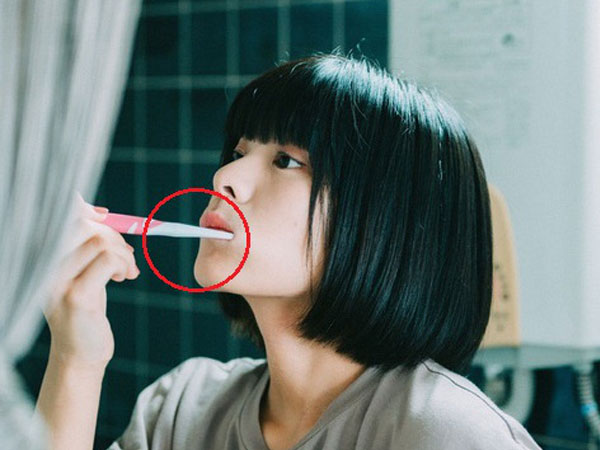 Ai cũng nghĩ bồn cầu là thứ bẩn nhất trong nhà nhưng 7 món đồ dưới đây mới thực sự là 'ổ vi khuẩn' đầy rẫy mầm bệnh