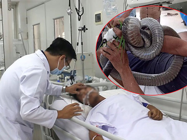Gia cảnh khốn khó của người 'ôm' rắn hổ mang chúa vào bệnh viện cấp cứu