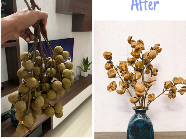 Thanh niên cắm bình hoa vỏ nhãn làm 'rung chuyển' hội nghiện decor, thế cũng nghĩ ra được mới tài