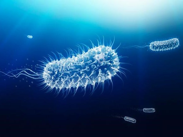 Cuộc sống ít biết của cô gái tiêm siêu vi khuẩn 3,5 triệu tuổi vào cơ thể