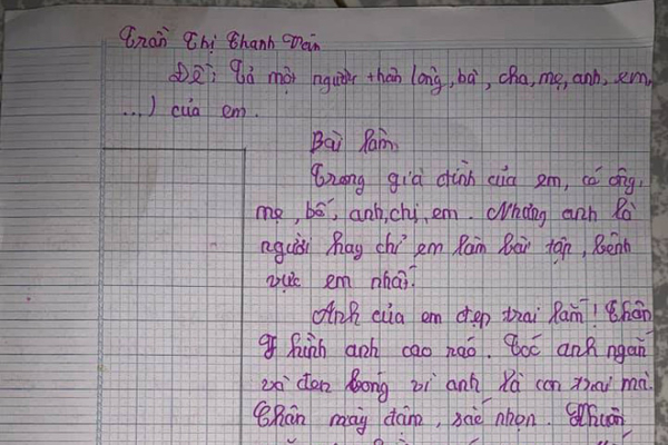 Tả anh trai 'IQ cao hơn Einstein', cô bé lớp 5 khiến dân mạng 'cười nghiêng ngả'