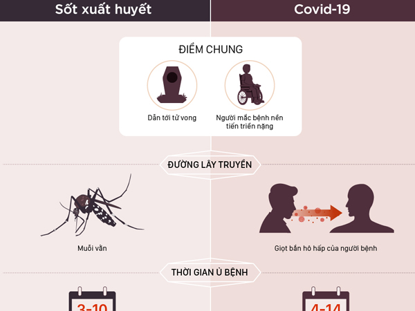 Phân biệt triệu chứng Covid-19 và sốt xuất huyết