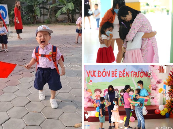 Loạt ảnh không thể bỏ qua ngày khai giảng: Học sinh mầm non 'cưng muốn xỉu', vừa đến trường đã gào khóc đòi về